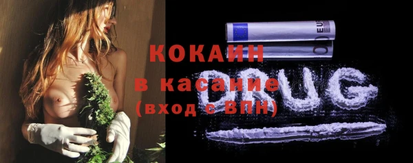ALPHA PVP Богородицк