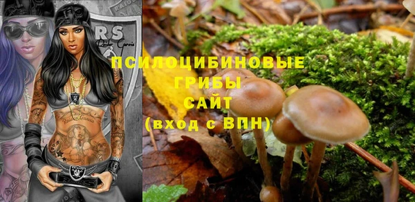 ALPHA PVP Богородицк