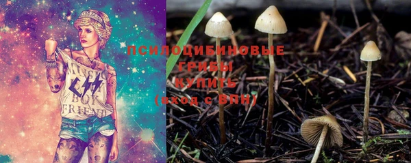 хмурый Богданович