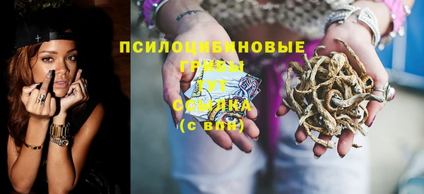 ALPHA PVP Богородицк